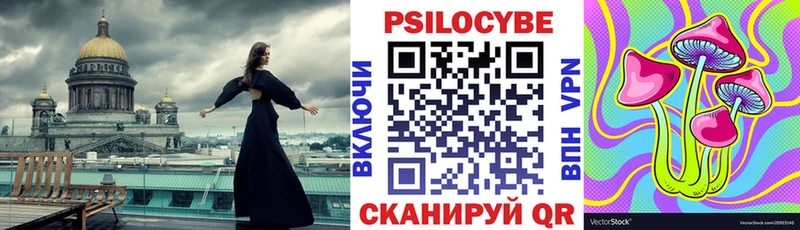Псилоцибиновые грибы MAGIC MUSHROOMS  блэк спрут как войти  Королёв 